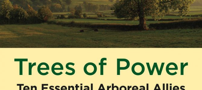 Trees of Power: A Book Review